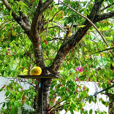 Olee Villa Bentota Luaran gambar
