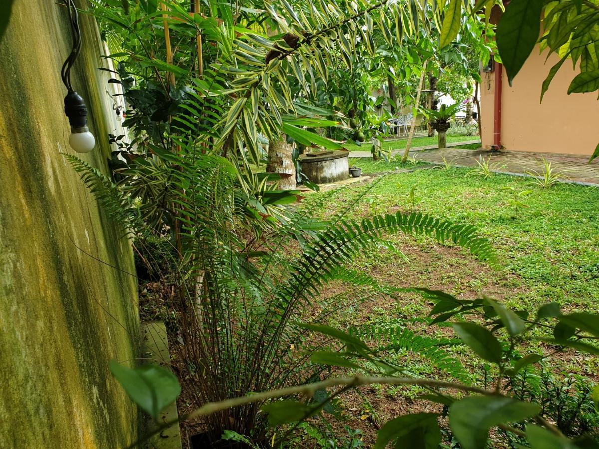 Olee Villa Bentota Luaran gambar