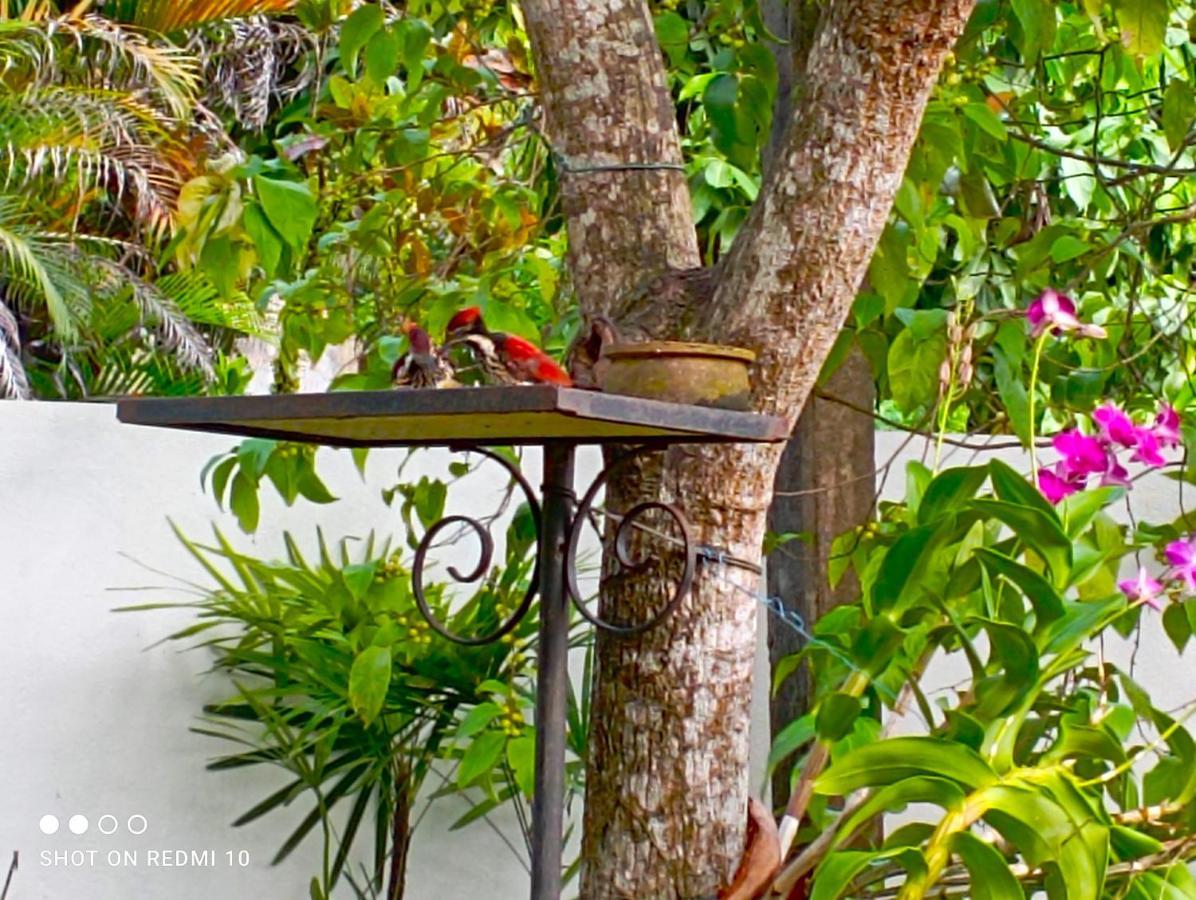 Olee Villa Bentota Luaran gambar