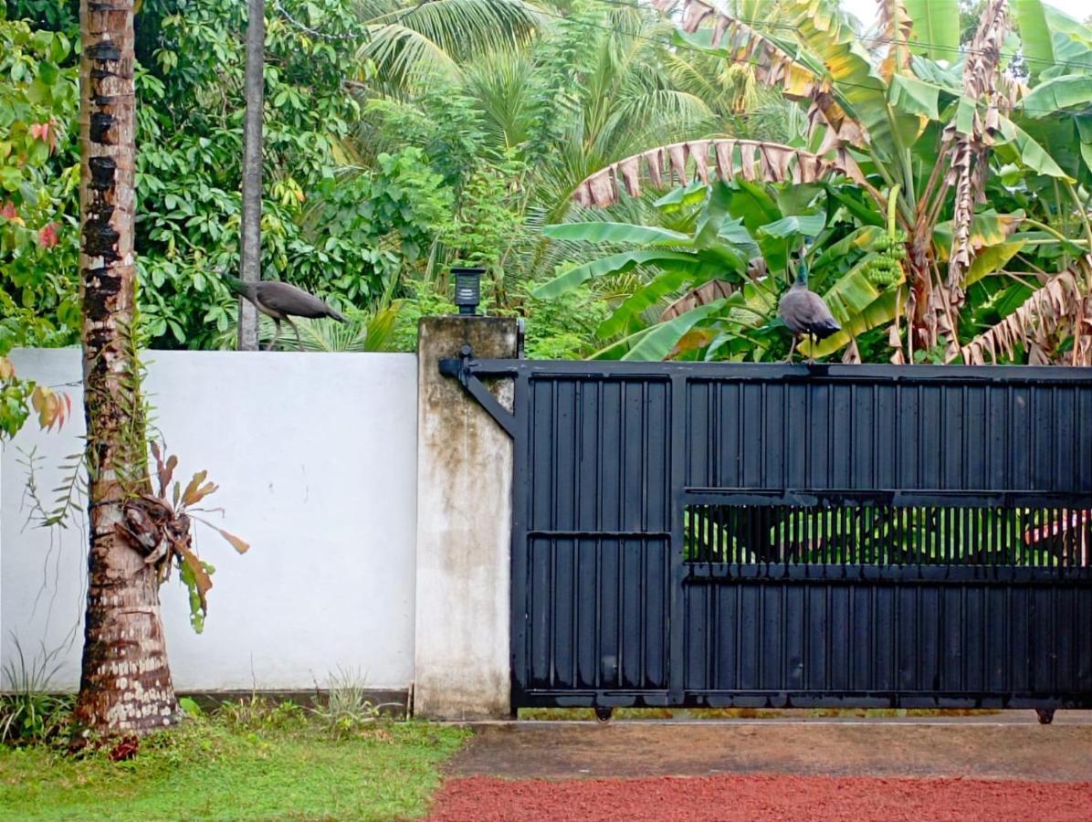Olee Villa Bentota Luaran gambar