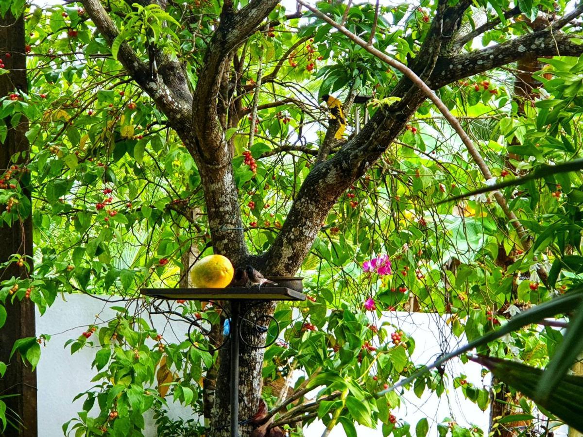 Olee Villa Bentota Luaran gambar