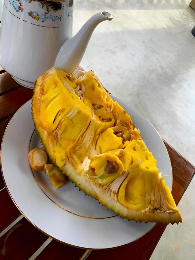 Olee Villa Bentota Luaran gambar